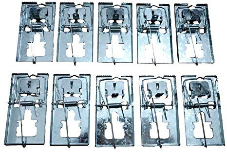 TIANFENG Mäusefalle aus Metall, verzinkt, Weiß, 10 Stück