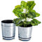 KORAD Ensemble de 3 Pots avec Soucoupe d'un diamètre de 26 cm, Motif 017 - Vieux Argent ; Glamour ; Moderne, Haute Brillance, Style Classique, Rustique, loft, pour Plantes, Herbes.
