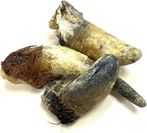 Bulls Horns with Hair Extra Large 1kg Natural Dog Treats Chews (approx 2-4) LOD1