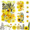 Getrocknete Blumen (Gelb) Gepresste Blüten Getrocknete Blumen Getrocknete Blüten Trockenblumen Gepresst Blüten Getrocknet Trockenblumen Gelb Echte Natürliche Blumen für DIY Harz Schmuck Kunsthandwerk
