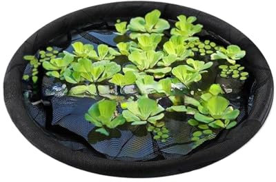 Teichpflanzenschutznetz, Schwimmende Pflanzenbarriere, Outdoor -Fischnetz, Einfache Installation, Sicheres Material, 91 cm Für Hinterhöfe, Gartenteiche Im Freien, Gewächshäuser