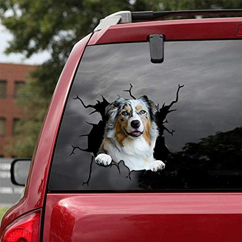 Ocean Gift Australian Shepherd Auto-Aufkleber, Wandaufkleber, realistische Autoaufkleber, Design-Serie 15, Größe 20,3 x 20,3 cm, 2 Stück
