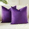 JOTOM Set Di 2 Fodere In Velluto Morbido Solido Fodere Di Cuscino Decorativo Cuscino Fodere Per Cuscini Da Letto Per La Decorazione Della Casa Per Divano Camera Da Letto 50x50 cm(Viola)