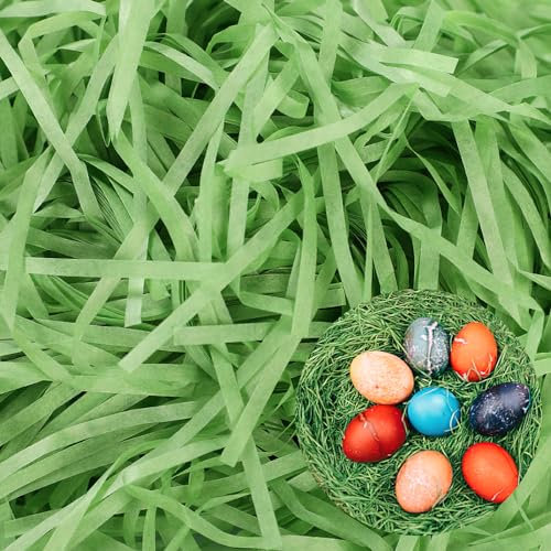 Darryy Füllmaterial Geschenk, 200g Ostergras Papier,Geschreddertes Seidenpapier Grün,Ostergras Dekogras,Füllmaterial Osterkorb,für Geschenkbox(Grün)