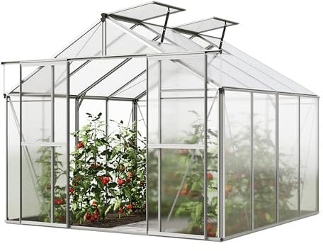 GFP Serre de Jardin Orchidee 4 Structure en Aluminium 256 x 256 cm Panneaux en Polycarbonate