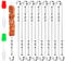 Ajuanbazha 24 Pièces Brochettes en Acier Inoxydable avec 2 Pinceaux, Réutilisables Brochettes Inox pour Barbecue,Viande,Légumes
