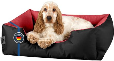 BedDog Hundebett M - Hundekissen - Hundekorb - Hundecouch - Hundesofa - Bezug abziehbar, Waschbar, für Kleine Hunde