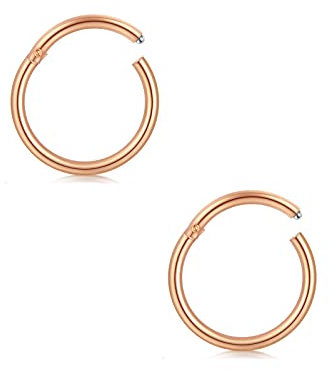 AceFun 2PCS Incernierato Clicker Anello Naso Cerchio Cartilagine 14 Gauge Orecchino Setto Piercing Gioielli 10 mm Oro Rosa