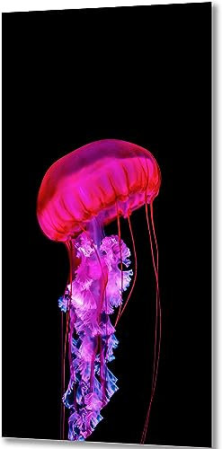 ZGmaxCL DIY 5D Diamond Painting Set Puzzles Stickerei Strass Diamant Malerei Erwachsene Kinder Full Groß Wunderschöne Qualle Room Wanddekoration 80x40cm
