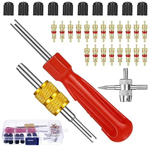 saerryor 33 Pcs Car Bike Tyre Valve Removal Tool Set,Tyre Valve Core Tool Kit with Dual & Single Head Valve Core Remover for Car Motorcycle Bicycle