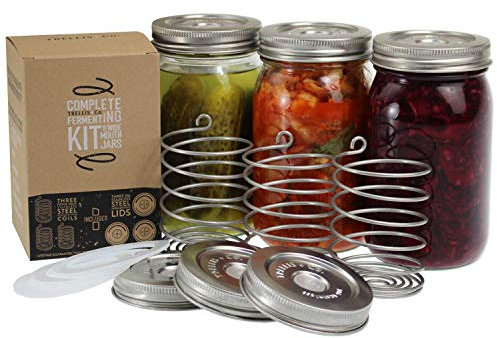 Trellis + Co. Stainless Steel Fermentation Jar Kit | 3 Waterless Fermenter Airlock Lids & 3 Pickle Helix Fermentation Weights, for Wide Mouth Mason Jars | Recipe eBook Included with Fermenting Kit