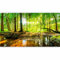 murando - PREMIUM Fototapete XXL Wald 500x280cm Foto Tapete Schlafzimmer Vliestapete XXL Wandtapete Motivtapeten Bildtapete 3d Effekt Wand Dekoration Natur Baum grün Landschaft Sonne