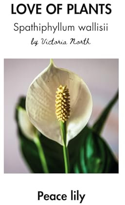 LOVE OF PLANTS: Spathiphyllum wallisii: Peace Lily (LOVE OF PLANTS: Houseplants)