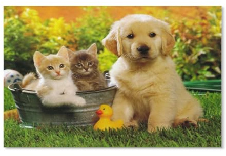 1000 Piece Puzzles Für Kid Adult Toy Geschenk DIY Game，Katzen und Hunde（50x70cm）-A48