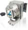 SORNEICDR Ersatz Projektorlampe kompatibel mit OPTOMA BL-FP210A/BL-FP210B HD28DSE HD200D W316ST W350 W351 X316ST X350 X351 EH341 para Acer MC.JK211.00B H6517BD H6520BD H6517ST