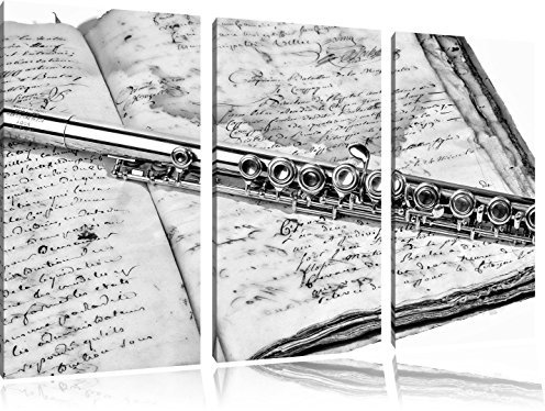 Pixxprint Querflöte, Leinwandbild 3 Teilig, Gesamtmaß: 120x80cm, Wandbild, Dekoration, fertig gespannt, Kein Poster