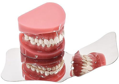 Dental Kieferorthopädie Fotografie Spiegel Oral Spiegel Zähne Edelstahl Reflektor(B)