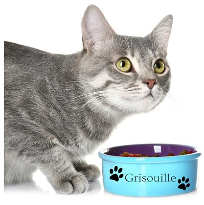 Sticker Vinyle Personnalisé Prénom Chat avec Pattes - Décoration Unique pour Gamelle, Litière, Voiture - Disponible en Plusieurs Couleurs et Tailles