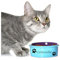 Sticker Vinyle Personnalisé Prénom Chat avec Pattes - Décoration Unique pour Gamelle, Litière, Voiture - Disponible en Plusieurs Couleurs et Tailles