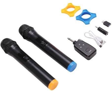 Breeshy Microphone Dynamique Portatif pour Karaoké, Récepteur Rechargeable pour DJ, Mariage, Discours, Club, Spectacle, Réunion