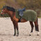 Horze Marquess Fleece-Ausreitdecke, Grün, 155