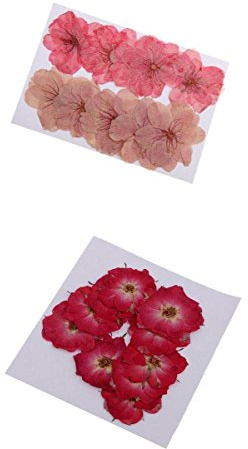 20 Pezzi di Fiori Secchi Pressati Misti, Fiori di Ciliegio E Rose