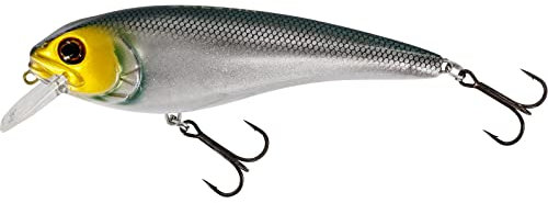 Westin Raw Bite 11cm 26g - Wobbler Floating, Farbe:Headlight