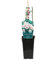 Arborix, plus vert - moins cher New Dawn' Kletterrosen, 3,5 l, Rot, Weiß/Rosa