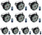 10PCS LED Par Strahler 36 LED Discolicht Partylicht RGB DMX512 mit Fernbedienung, Bühnenlicht 7 Lichtmodi DJ licht für Party Bar Stage Feste Show