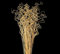 Floralcraft 50 Stems Bunch Curly Ting Ting - Gold and Glitter Sparkle