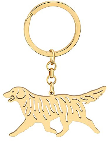 DALANE Edelstahl Golden Retriever Dog Schlüsselanhänger Hund Welpen Auto Schlüsselring Geschenke für Damen Mädchen Geldbörse Zubehör
