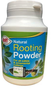 Doff F-KE-075-DFF Wurzelpulver, 75 g