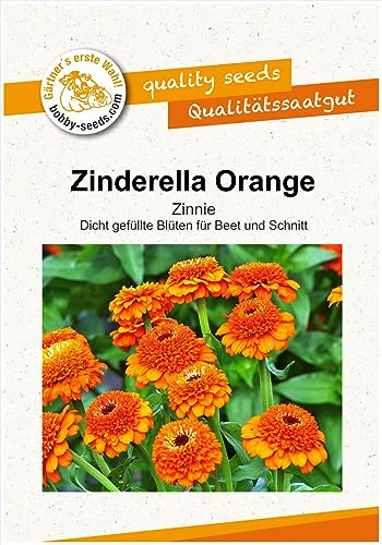 Blumensamen Zinderella Orange Zinnie Portion