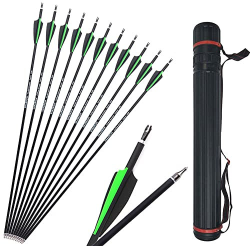 SHARROW 12x Carbonpfeile 30 Zoll Bogenpfeile Jagd Pfeile für Bogen Spine 500 für Recurvebogen Compound Bogen (Grün+Köcher)
