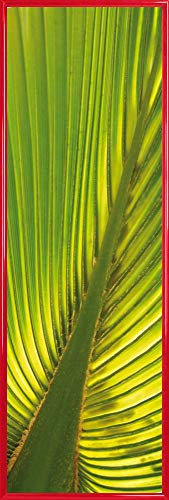 1art1 Palmas Póster Impresión Artística con Marco (Plástico) - Hoja De Palmera De Cáñamo (91 x 30cm)