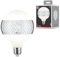 Paulmann 28742 LED Lampe G125 Globe 4,5W dimmbar Leuchtmittel Ringspiegel Silber effizientes Licht Glas Goldlicht 2600 K E27