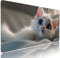 Bianco Tappetino Mouse xxl Gaming Accessori Sottomano Scrivania Grande Tappetino Mouse e Tastiera Gatto Accessori pc 1000x500x3mm Ufficio Desk Mat, con Base in Gomma Impermeabile e Antiscivolo d-39