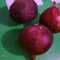 Originalverpackung 6 Samen / Beutel, lila Feigen Samen, Früchte und Feigenbaum Samen Bio-Früchten nahrhafte Frucht Bonsai-Baum