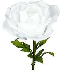 Chianese Rosa Gigante Bianca in Tessuto - Diametro Fiore 37 cm con Stelo da 100 cm | Fiore Decorativo per Eventi, Fiere, Vetrine | Senza Base Inclusa