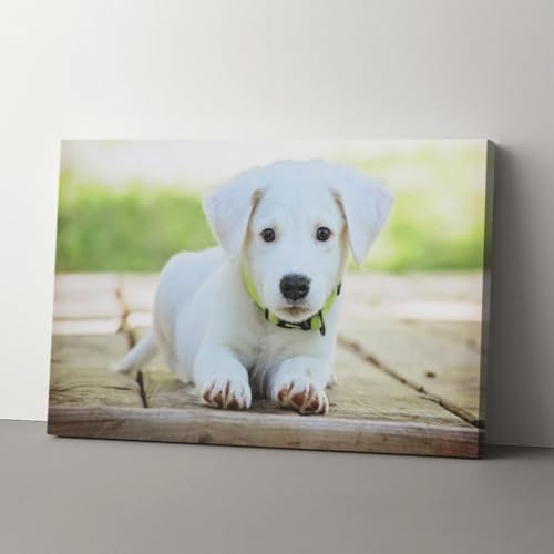 YVTMDZOT Leinwand Personalisiert Foto – Foto auf Leinwand mit eigenem Bild, ideale Wanddeko & Geschenk für Zuhause, verschiedene Größen