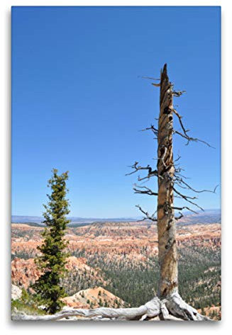 Premium Textil-Leinwand 60 x 90 cm Hoch-Format Erfahren, Leinwanddruck von Nadine Büscher