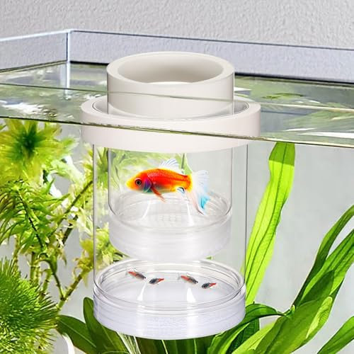 Aufzuchtbecken Aquarium, Schwimmender Ablaichkasten Aquarium Kunststoff Doppelstöckiger Aquarien Isolationsbox Transparent Aquarien Zuchtbecken für Babyfische Garnelen Clownfische Guppy