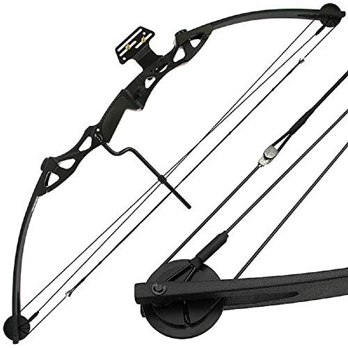 Anglo Arms Hotaka Bogen-Set, 55lb, Hardcore-Bogenschützen, Rechte Hand, Bogenset für Erwachsene