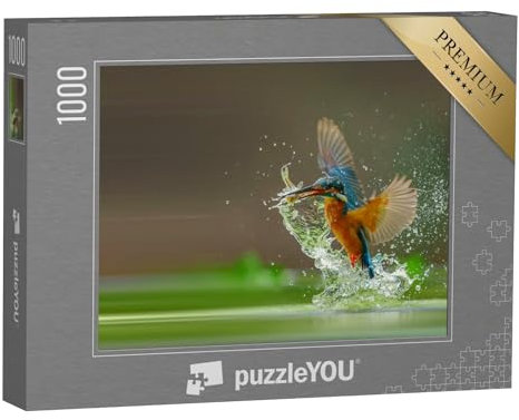 puzzleYOU: Puzzle 1000 Teile „Eisvogel fängt Fisch aus dem Wasser“ – aus der Puzzle-Kollektion Vögel, Eisvogel
