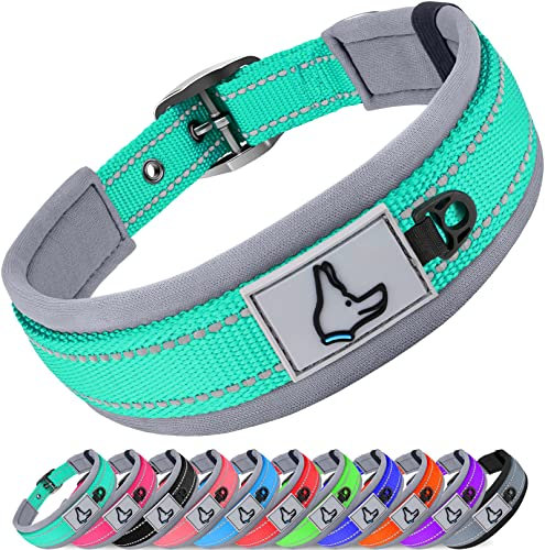 Joytale Halsband Hund, Weich Hundehalsband Gepolstert Neopren Hunde Halsband für Kleine Hunde, Nylon Reflektierend Breit Halsbänder, Türkis