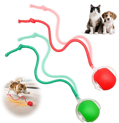 Synclum Bola Interactiva Automática para Gatos y Perros Recargable USB
