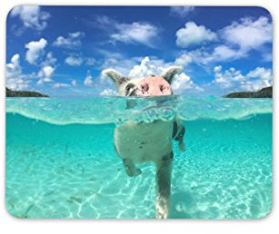Destination Vinyl Ltd Swimming Pig Mouse Mat Pad Funny Cute Animal Beach Computer PC #8098