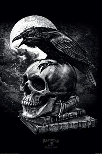 Pyramid International 494467 Alchemy Poster Poe's Raven, 61 x 91.5cm