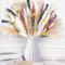 Pampa Séchées Naturelles Décoration, 85 Pièce Bouquet Fleurs Séchées Pampa Fleurs de Décoration Boho Decoration pour Maison, Mariage, Chambre,Vacances, fête