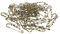 TOYANDONA 50 Stück 3-Loch-sicherheitsnadel Broschennadel Zum Basteln Broschennadel Selber Machen Trachten Schmuck Sicherheitsnadel, Robust Vintage Schmuck Legierung Stift Schal Fräulein